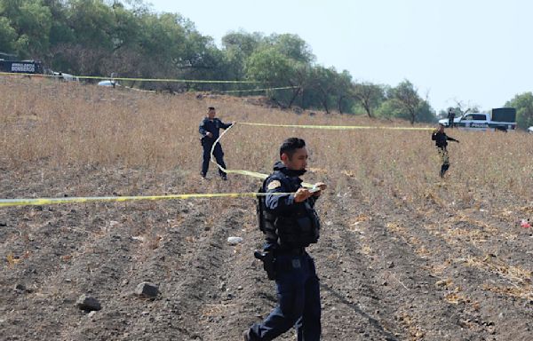 Police searching for clandestine crematorium in Mexico say bones found around charred pit are of "animal origin"