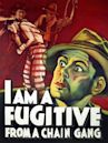 I Am a Fugitive from a Chain Gang