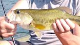 Looking for bass in Pennsylvania? Here's how and where to find them