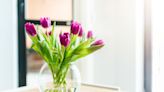 This Handy Trick Will Keep Your Tulips from Drooping—And It Only Costs a Penny