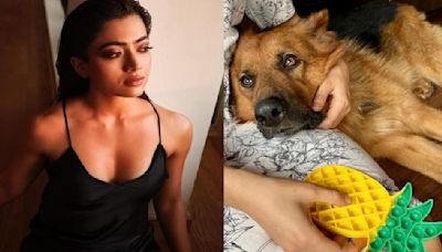 Rashmika Mandanna grieves the death of her 'goodest boiii' Maxi: 'We’ll miss you...'