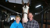 Tim and Mary Myers welcome guests to South Creek Clydesdales