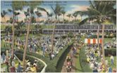 Gulfstream Park