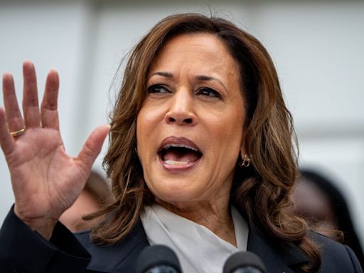 Kamala Harris Is Vetting Two Women on Her VP Shortlist