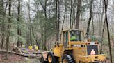 Great Smoky Mountains NP roads, campground remain closed, others open after 85 mph winds