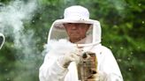 Life lessons from the beekeeper, the late George Schloegel