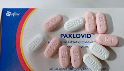 As COVID cases surge nationally, how to access treatment drug Paxlovid