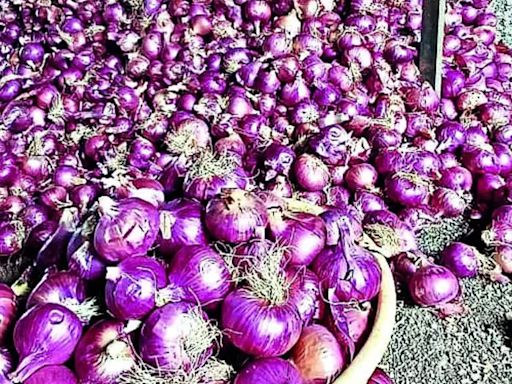 Onion growers express concerns over state govt's decision on grant terms under MGNREGA | Nashik News - Times of India