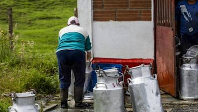 Avisan grave problema con la leche en Colombia; consumidores y campesinos, afectados