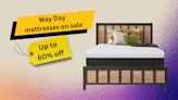 Get up to 60% off on popular mattresses this Way Day 2024: Sealy, Chime, more