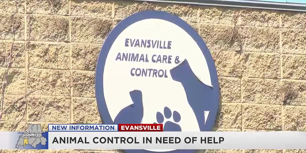 Animal control in need of emergency dog fosters