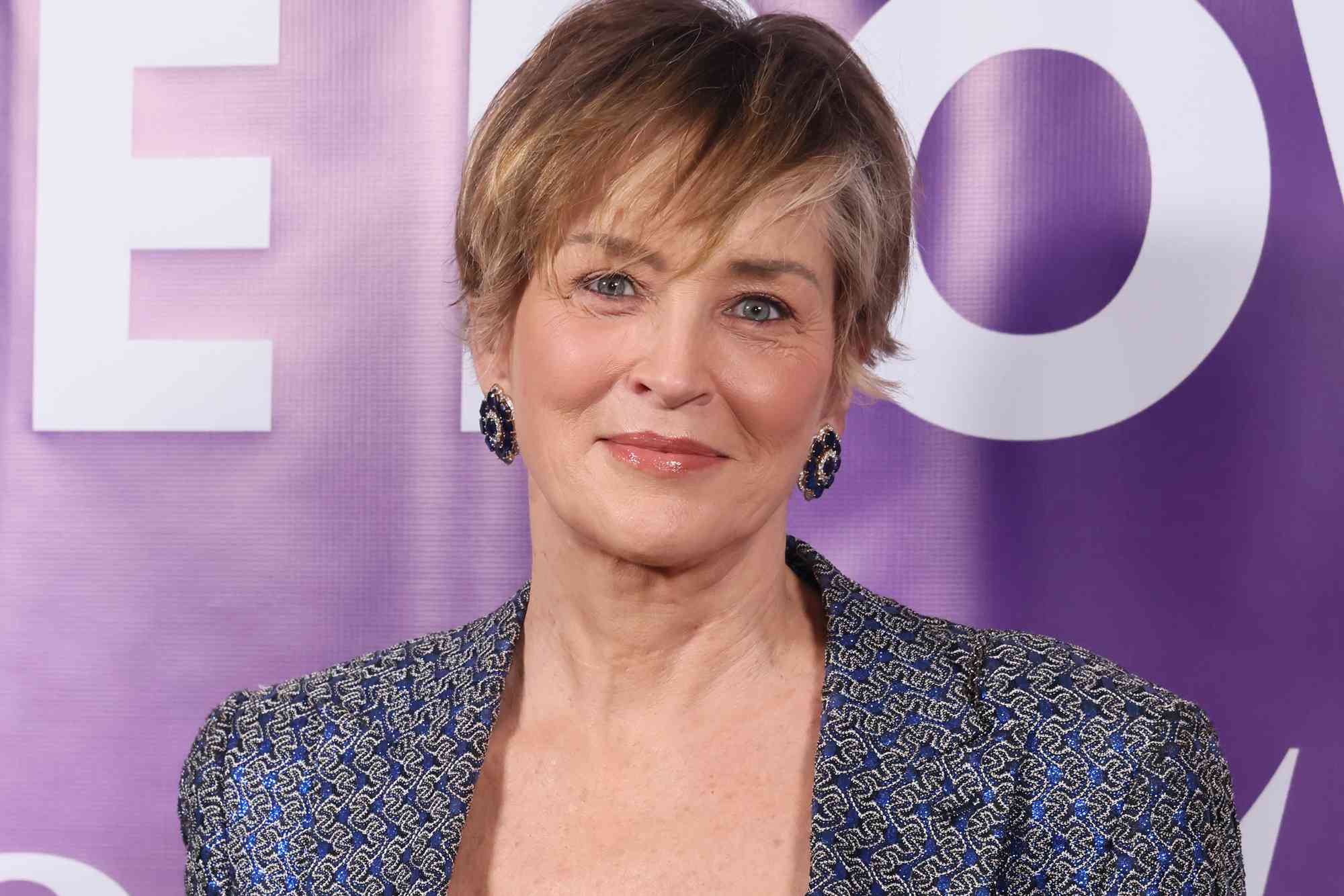 Sharon Stone Sued for $35,000 in Damages Over Alleged Car Crash