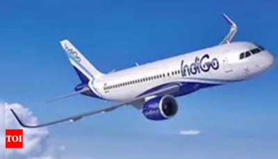 IndiGo to unveil new look and modern architecture of its website and mobile application - Times of India