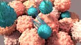 Ipilimumab, a Pioneer Breakthrough in Cancer Treatment