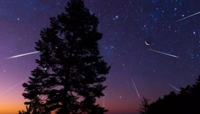 Here's when Canadians can watch the Perseid meteor shower | Canada