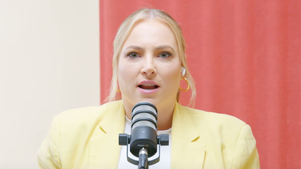 Instead Of Blasting The View, Meghan McCain Took Aim At Drew Barrymore For Kamala Harris...