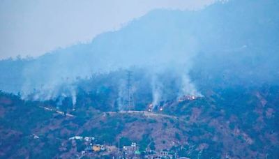 La Jornada: Cobran fuerza incendios forestales en Acapulco