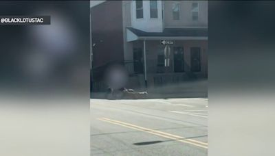 Police officer kills dog that was attacking man in West Philly
