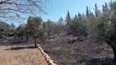 Movilización de medios aéreos y terrestres para sofocar un incendio agrícola en Santa Eulària