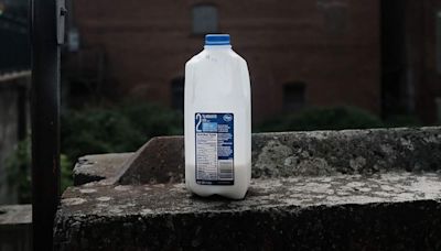 Strange Milk Mystery Grips New Zealand Town | News/Talk 1130 WISN | Coast to Coast AM with George Noory