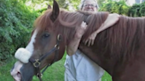 Town Divided After Owner Wants Beloved Horse Put Down After Her Passing