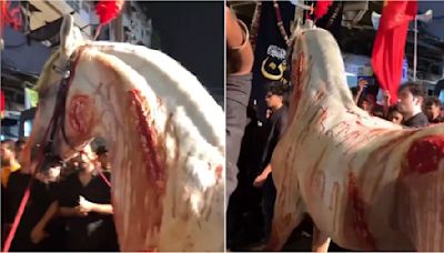 VIDEO: Horse Paraded With Injury Marks In Mumbai's Dongri During Muharram Procession On Ashura; Netizens React