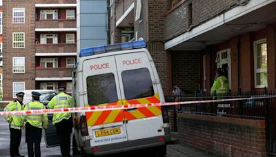 Niño de 13 años muere tras ser atacado por la espalda con una espada en Londres, dejando cuatro heridos - El Diario NY