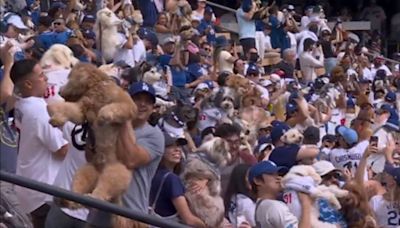 VIDEO: Los Dodgers reciben miles de perros en sus gradas | El Universal
