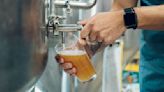 Bud Light owner shrugs off boycott as beer revenues climb