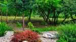 10 Types of Landscaping Rocks Every Homeowner Should Know