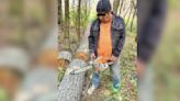 ¡Con motosierra en mano! Cae uno por tala ilegal de árboles en Milpa Alta