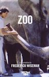 Zoo