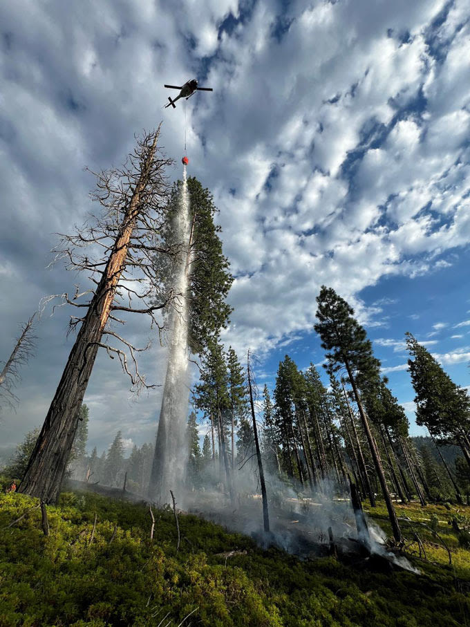 Yosemite National Park Update on July Lightning Strike Fires from Storms - Fires are in High Elevation Wilderness Ranging from 4,700 to 9,800 Feet
