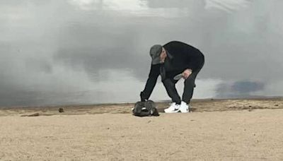 Penticton celebrity Kevin the goose put down after severe dog attack