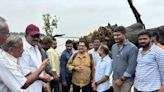 Administration, nature lovers work to revive 150-year-old ‘cinema tree’ that got uprooted due to floods