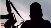 Singapore warns of 'violent splinter cells' after dissolution of JI terror group in Indonesia - Times of India