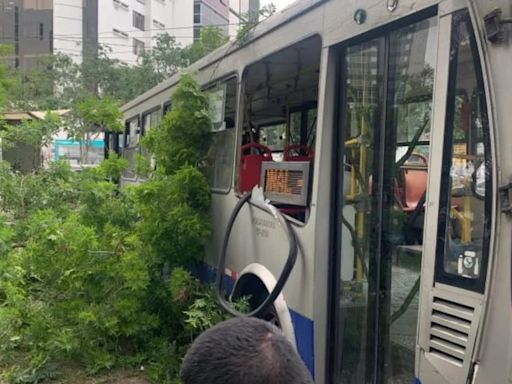 Conductor del Corredor Azul pierde el control por falla de frenos y choca contra árbol en avenida Arequipa