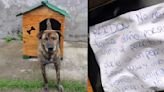 Criminales se robaron la casa de Manchas, un can callejero, pero se arrepintieron y la regresaron