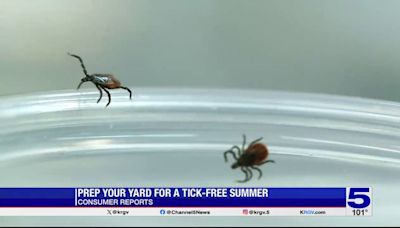 Consumer Reports: Prep your yard for a tick-free summer