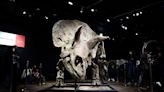 Study reveals when the first warm-blooded dinosaurs roamed Earth