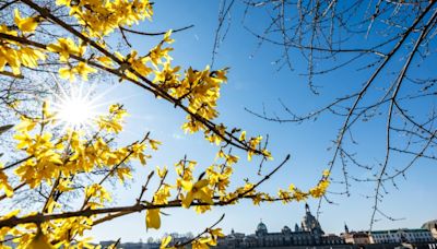 Wetterdienst: Frühling in Deutschland in diesem Jahr so warm wie nie zuvor