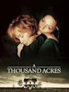 A Thousand Acres