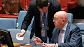 UN Security Council denies Russia call for bio weapons probe