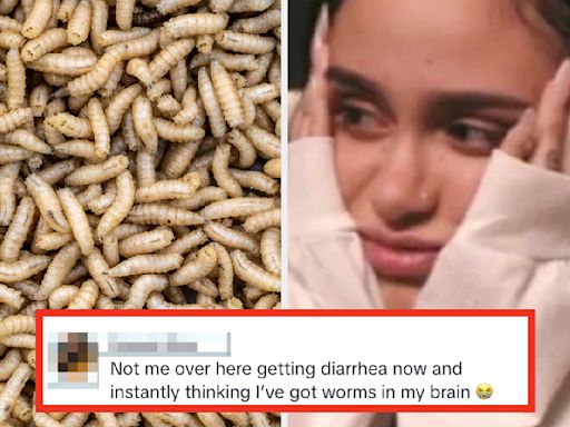 "Over 8 Million People Are Living With Brain Worms": Anxiety Over Brain Worms Is At An All-Time High. Here's What An...