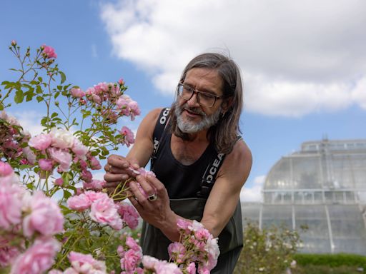 Conheça o 'messias das plantas', que desafia a extinção para proteger as espécies mais raras