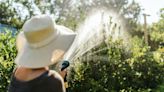 Stage 2 water restrictions start Friday for Chapman, Eastbourne systems