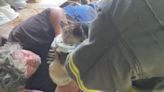 Firefighters free cat with head stuck through rim of tire