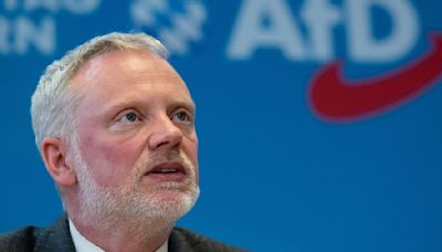 AfD mahnt Abgeordnete für Wahlbeobachtung in Russland ab