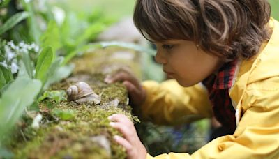 Cómo el tiempo en la naturaleza forma niños más felices, sanos y sociables