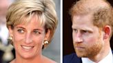 Diana author surprised Harry didn't ask for secret recordings of her